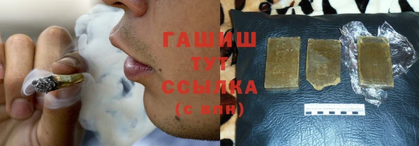 прущие грибы Каменногорск