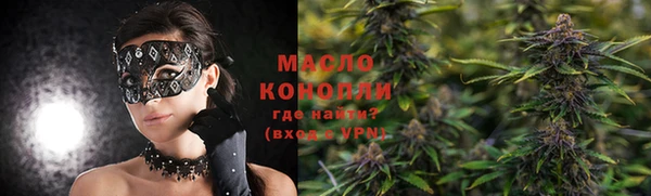 прущие грибы Каменногорск