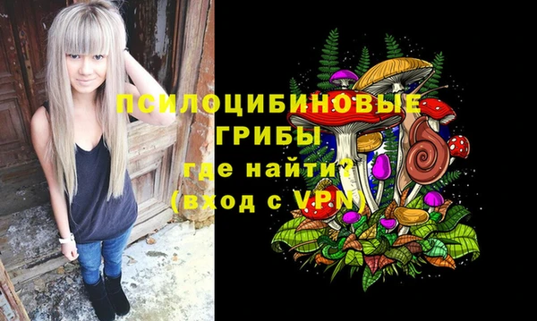 первитин Каменка