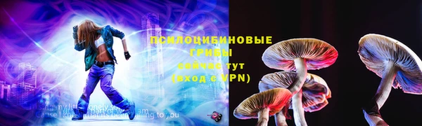 spice Фурманов