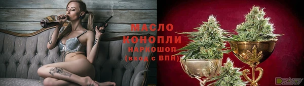 первитин Каменка