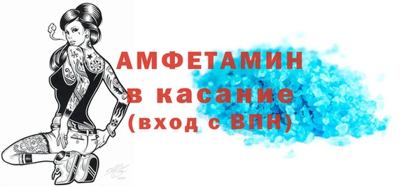 прущие грибы Каменногорск