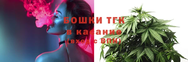 прущие грибы Каменногорск