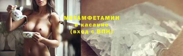прущие грибы Каменногорск