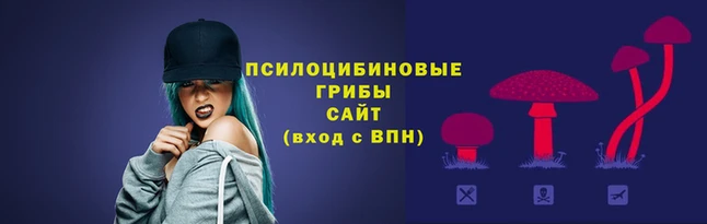 марки lsd Хадыженск