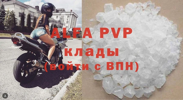 прущие грибы Каменногорск