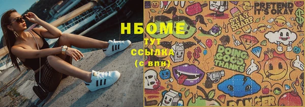 прущие грибы Каменногорск