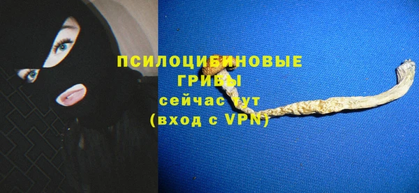твердый Каменск-Шахтинский