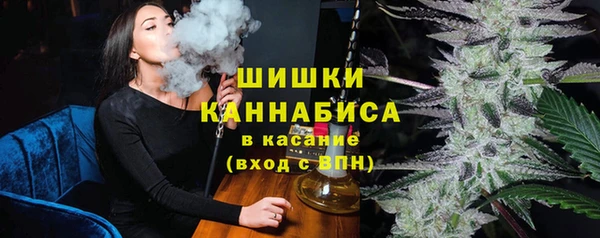 прущие грибы Каменногорск