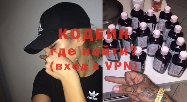 прущие грибы Каменногорск