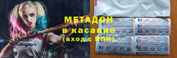 прущие грибы Каменногорск