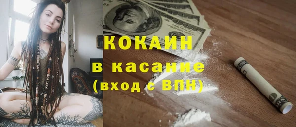 прущие грибы Каменногорск